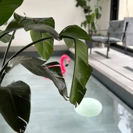 Loft Avec Piscine Interieure Chauffee *